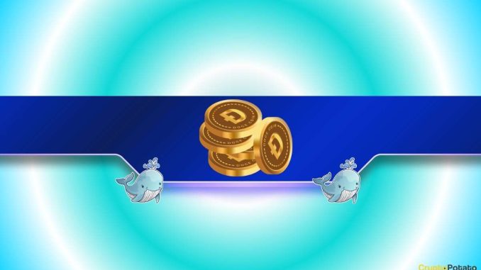 DOGE Rally Brewing? Whales Load Up as Dogecoin ETFs Post Record Inflows