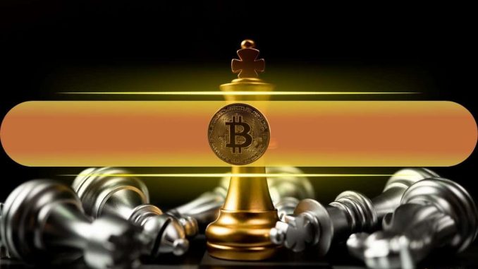Only 9 of the Top 50 Altcoins Have Beaten Bitcoin Since Its Peak: Picking the Winners Is Brutal